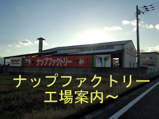 ナップファクトリー東温工房ツアー